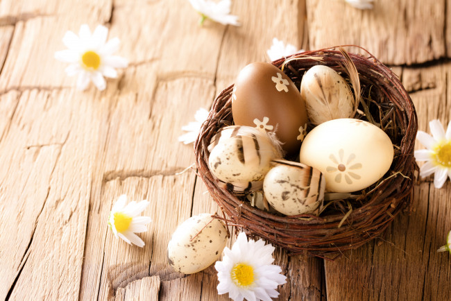 Обои картинки фото праздничные, пасха, wood, eggs, easter, camomile, flowers, ромашки, яйца