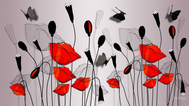 Обои картинки фото векторная графика, цветы , flowers, бабочка, цветы, маки