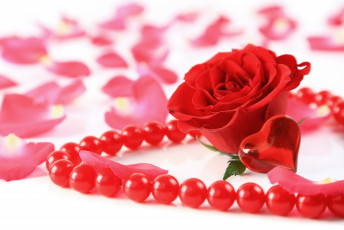 обоя праздничные, день святого валентина,  сердечки,  любовь, роза, сердечко, лепестки, бусы, красная