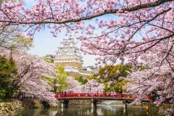 обоя города, замки Японии, пагода, сакура, весна, Япония, река, мост, цветение
