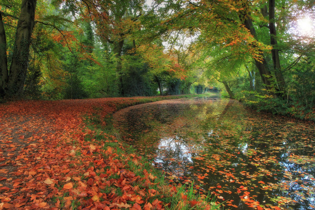 Обои картинки фото природа, реки, озера, парк, река, осень