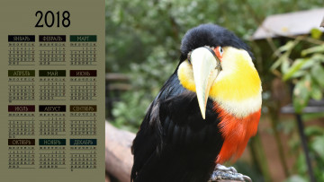 обоя календари, животные, птица