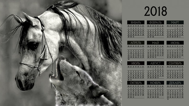 Обои картинки фото календари, компьютерный дизайн, лошадь, волк, морда