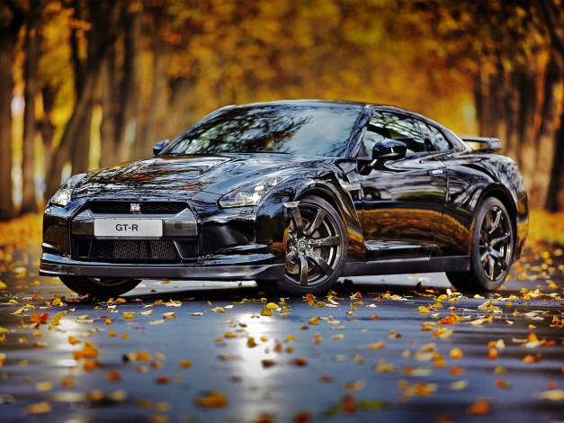 Обои картинки фото автомобили, nissan, datsun, аллея, дорога, листья, осень, черный, ниссан