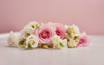 Картинка цветы разные+вместе фон розовый розы букет эустома