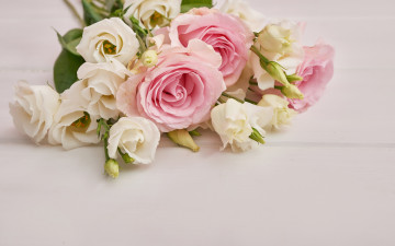 обоя цветы, разные вместе, фон, розовый, розы, букет, эустома