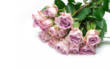 Картинка цветы розы букет красивые
