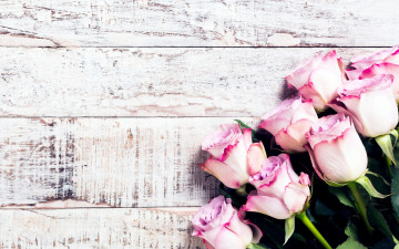 Картинка цветы розы букет розовые wood pink flowers roses