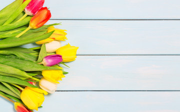 обоя цветы, тюльпаны, colorful, wood, flowers, tulips, spring