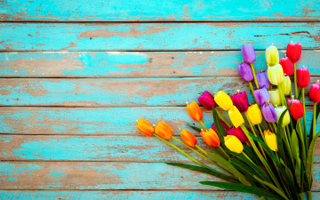 Картинка разное ремесла +поделки +рукоделие цветы доски colorful тюльпаны wood flowers tulips grunge