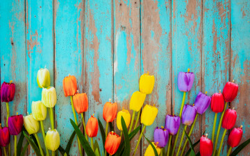Картинка разное ремесла +поделки +рукоделие цветы доски colorful тюльпаны wood flowers tulips grunge