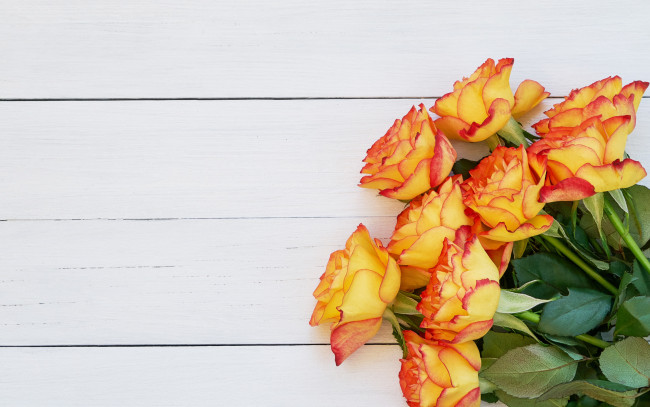 Обои картинки фото цветы, розы, букет, wood, flowers, orange, roses