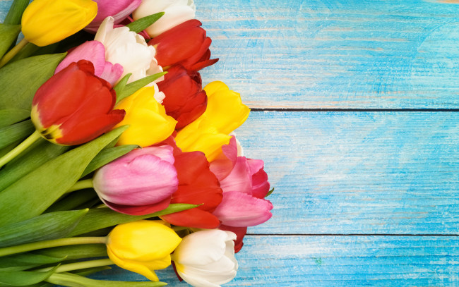 Обои картинки фото цветы, тюльпаны, colorful, wood, flowers, tulips, spring