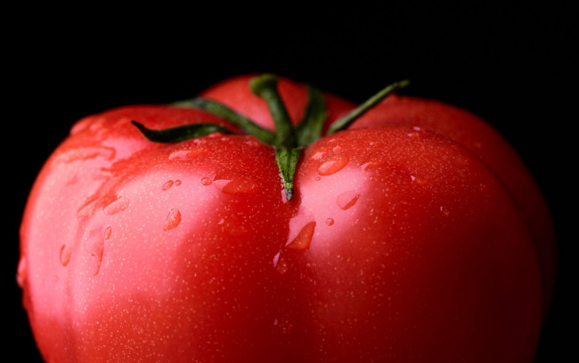 Обои картинки фото еда, помидоры, помидор, капли, макро