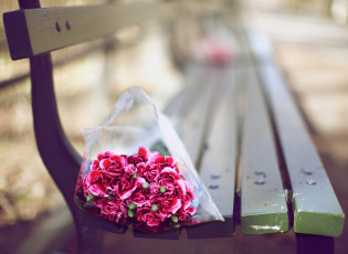 обоя цветы, гвоздики, скамейка, букет