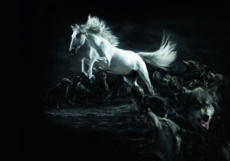 Картинка разное компьютерный дизайн конь белый волки ночь