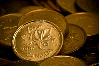 Картинка разное золото купюры монеты канада
