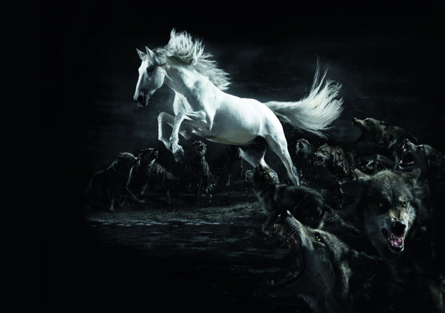 Обои картинки фото разное, компьютерный, дизайн, конь, белый, волки, ночь