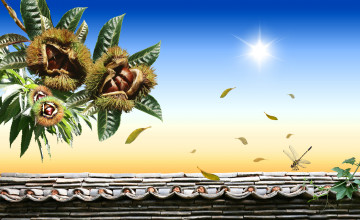 Картинка разное компьютерный дизайн стрекоза каштан крыша солнце