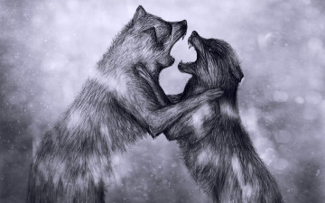обоя рисованные, животные, волки