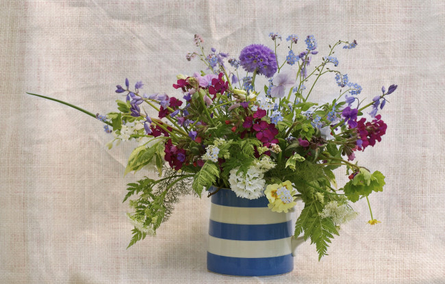 Обои картинки фото цветы, букеты, композиции, ваза, полевые