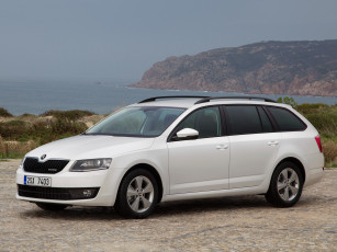 Картинка автомобили skoda 2013 г greenline superb