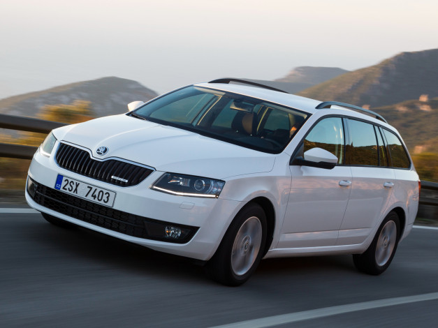 Обои картинки фото автомобили, skoda, 2013, г, greenline, superb