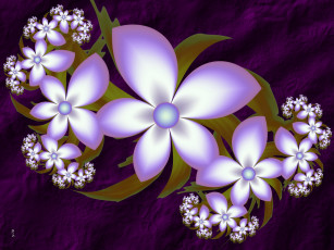 Картинка 3д+графика цветы+ flowers лелестки цвета фон узор
