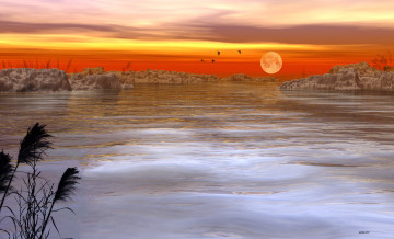 Картинка 3д+графика природа+ nature птицы солнце закат озеро