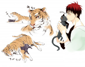 Картинка аниме kuroko+no+baske кот тигр кагами тайга
