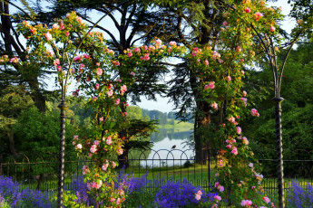 Картинка цветы разные+вместе розы арка озеро