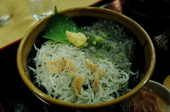Картинка еда рыба +морепродукты +суши +роллы суп