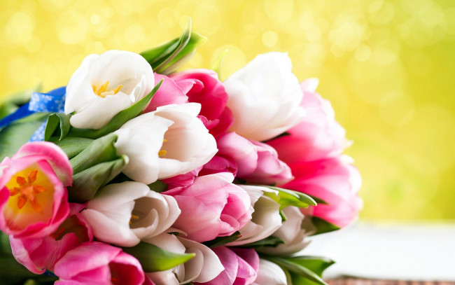 Обои картинки фото цветы, тюльпаны, разноцветные, букет