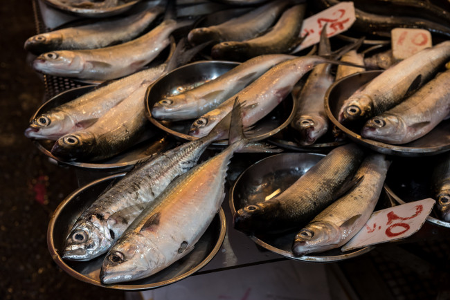 Обои картинки фото еда, рыба,  морепродукты,  суши,  роллы, сельдь