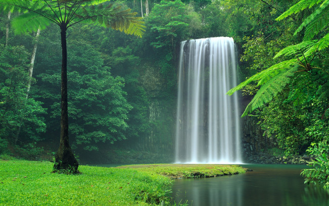 Обои картинки фото природа, водопады, живописный, водопад, между, зеленых, деревьев
