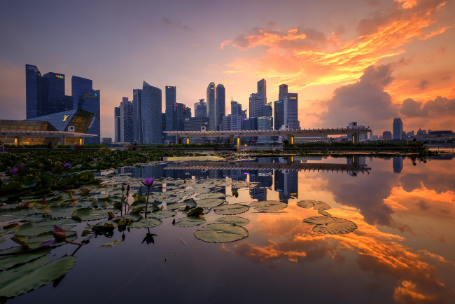 Обои картинки фото singapore skyline, города, сингапур , сингапур, небоскребы, панорама