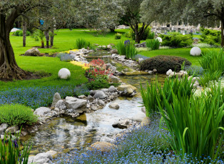 Картинка природа парк цветы ручей
