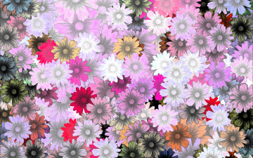 обоя векторная графика, цветы , flowers, фон, цветы