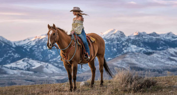 Картинка девушки -+блондинки +светловолосые блондинка лошадь горы