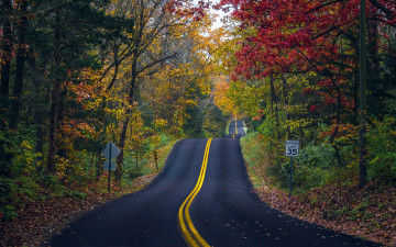 обоя природа, дороги, шоссе, осень