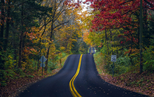 Обои картинки фото природа, дороги, шоссе, осень