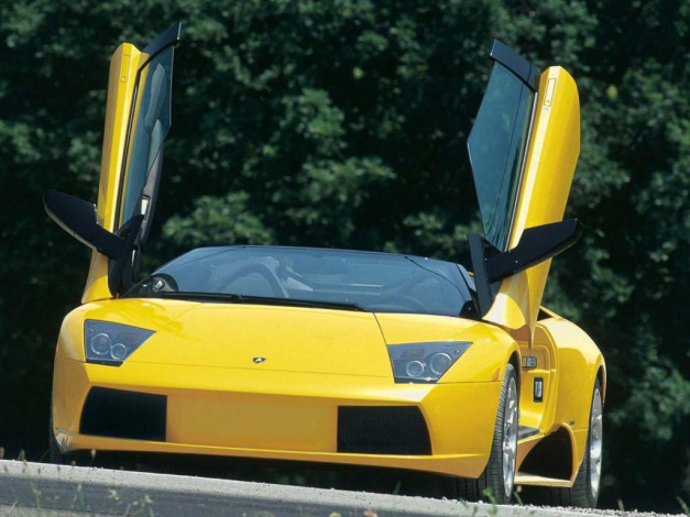 Обои картинки фото автомобили, lamborghini