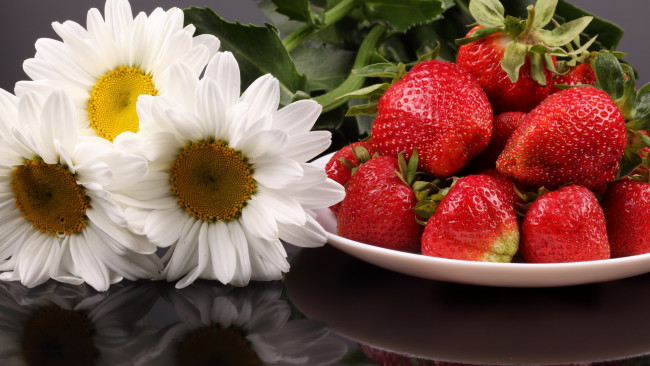 Обои картинки фото еда, клубника, земляника, ягоды, хризантемы, ромашки, тарелка
