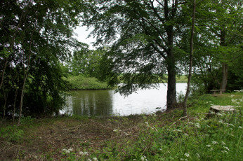Картинка дания grаsten природа реки озера река берег деревья