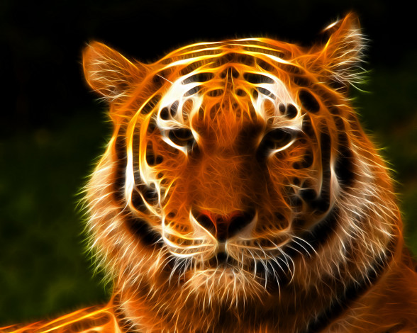 Обои картинки фото 3д, графика, animals, животные, тигр, морда, взгляд