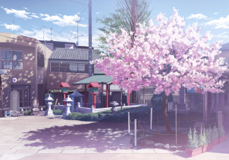 Картинка аниме *unknown+ другое улица дерево дома небо облака сакура
