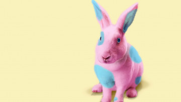 Картинка разное игрушки кролик
