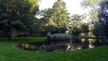 Картинка природа парк водоем лужайка