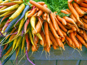 Картинка еда морковь корнеплоды