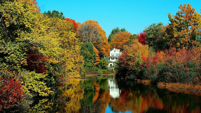 Обои картинки фото природа, реки, озера, отражение, деревья, осень, река